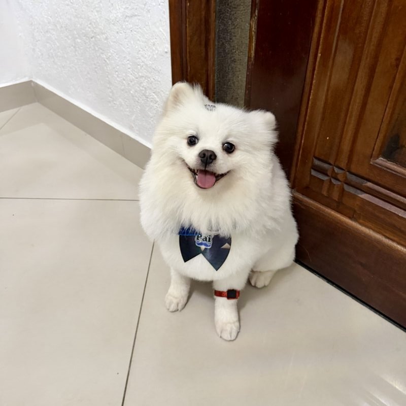 Alvin